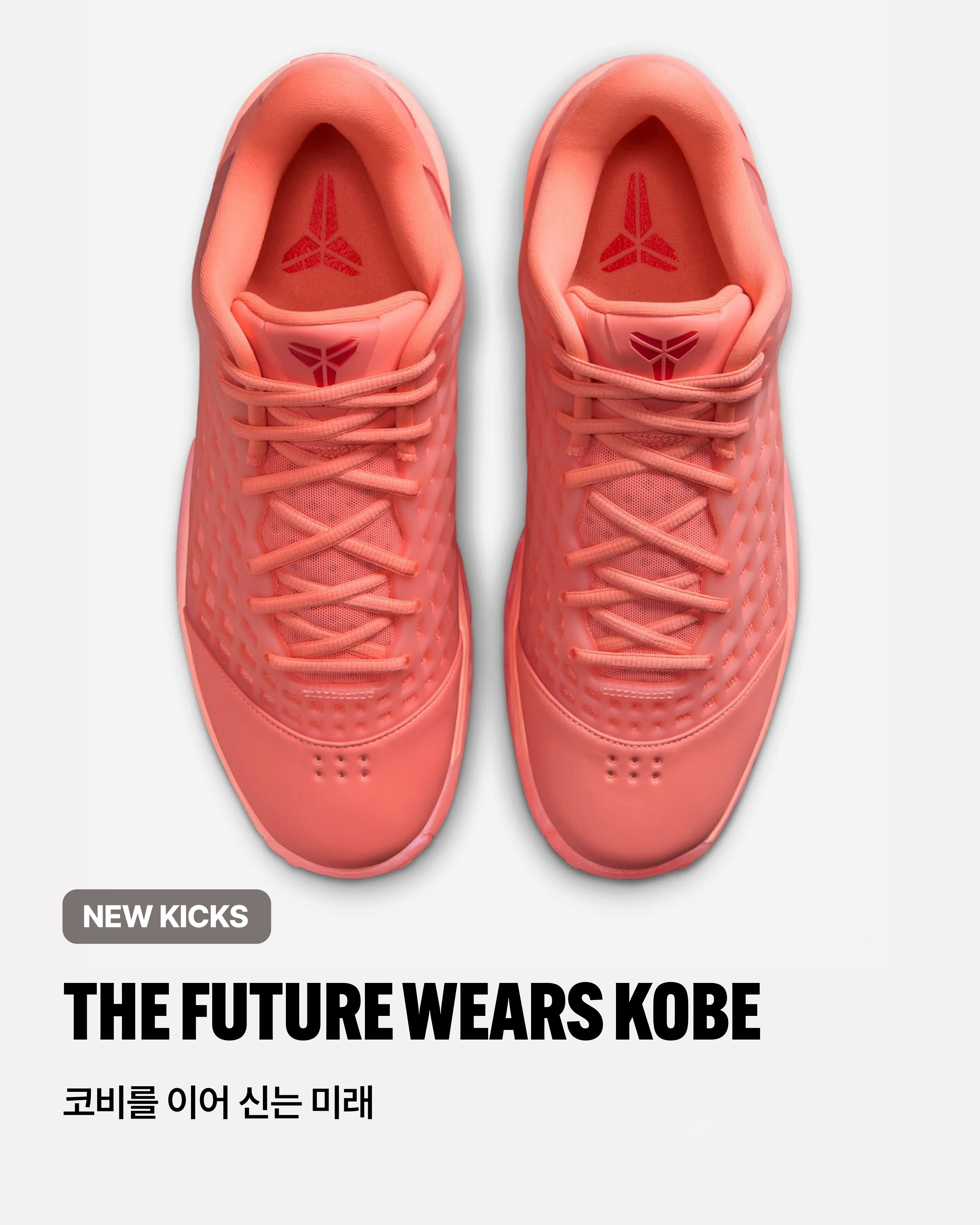 hoopcity KOBE 3 PINK (1).jpg